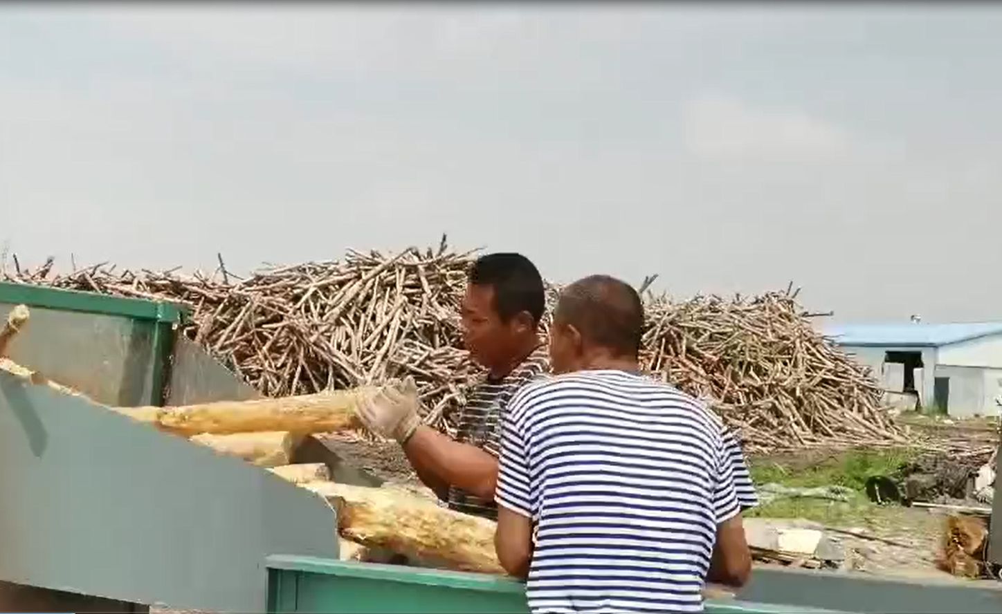 安徽浆纸纸业的各类净片加工